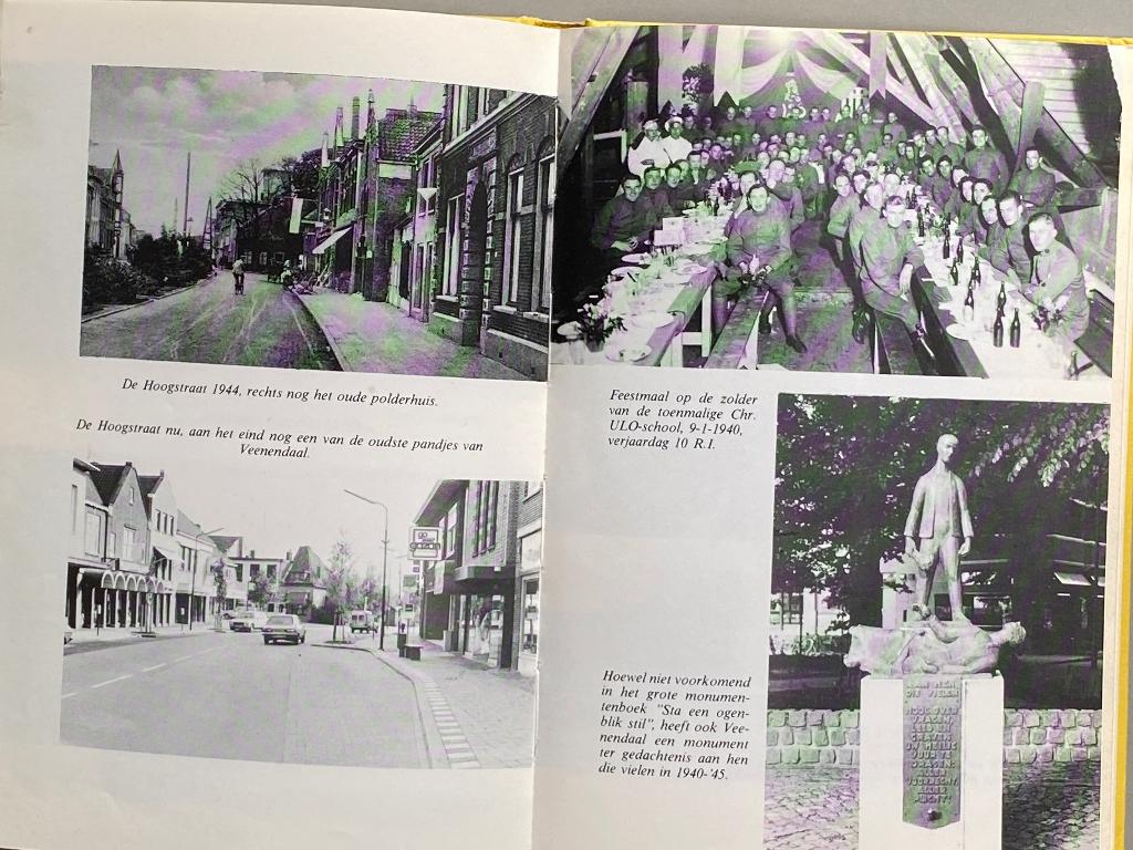 Veenendaal toen en nu (1982), Boeken, Geschiedenis | Stad en Regio, Ophalen of Verzenden, Zo goed als nieuw