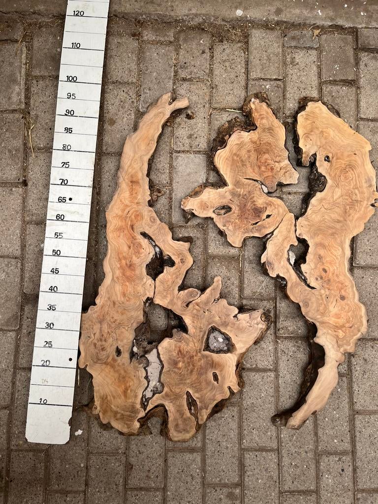 Lekker ruig olijfhout voor wanddecoratie en epoxy gieten, Ophalen, Nieuw