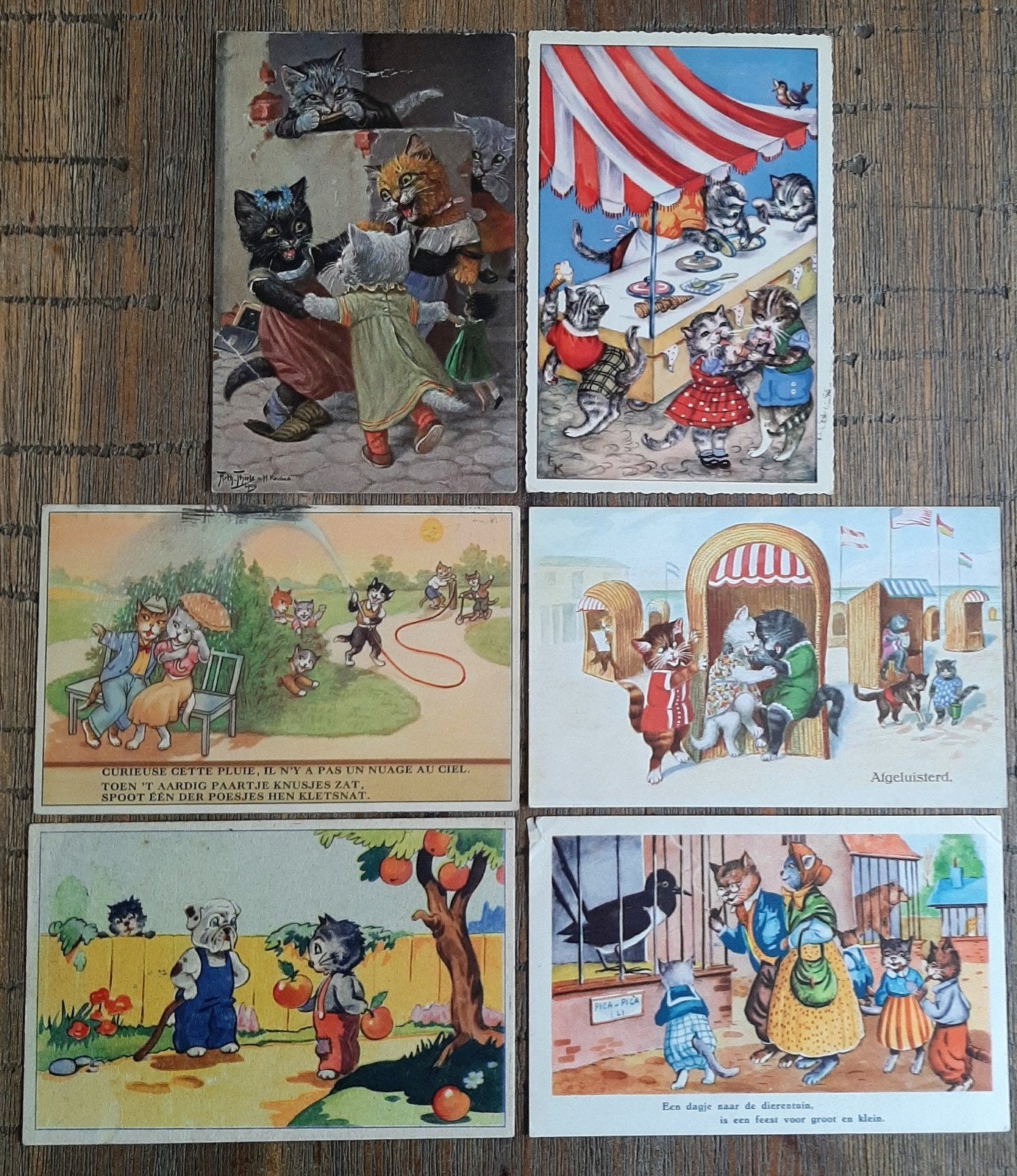 6 vintage ansichtkaarten antropomorfe katten verzamelen, Verzamelen, Verzenden, 1940 tot 1960, Hond of Kat