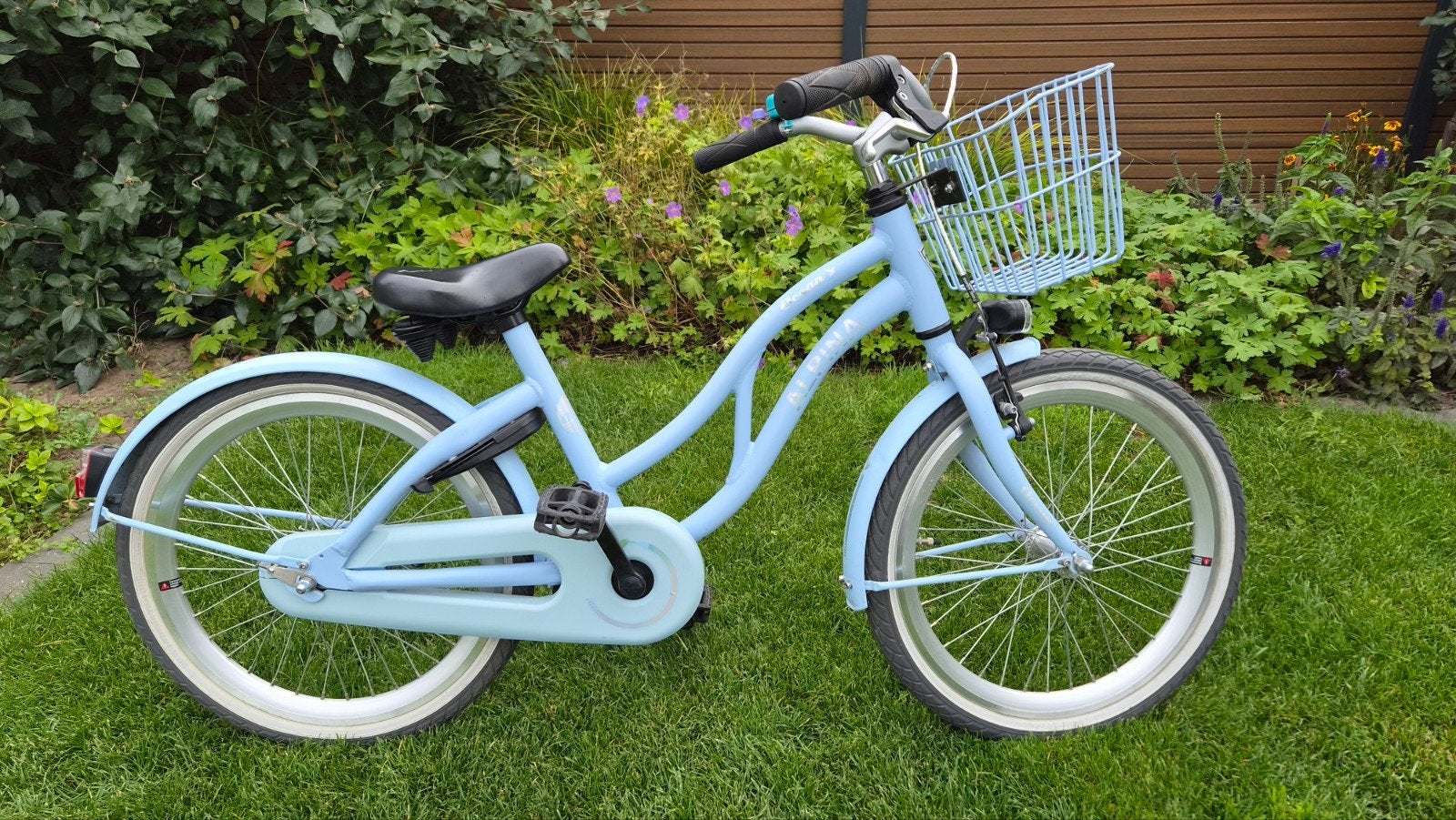 Alpina kinderfiets 20 inch met mandje - Zo goed als nieuw
