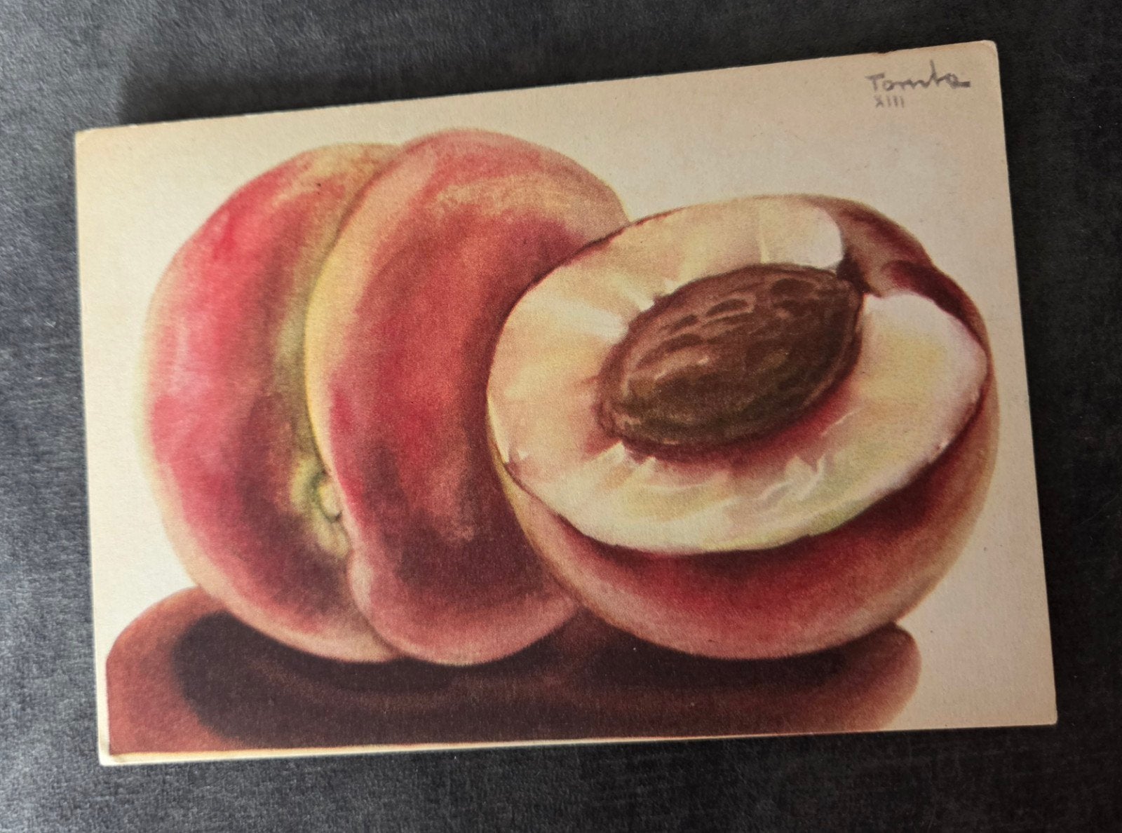 Italiaanse Ansichtkaart - Mostra delle Pesche Verona 193, Verzenden, 1920 tot 1940, Ongelopen, Overige thema's
