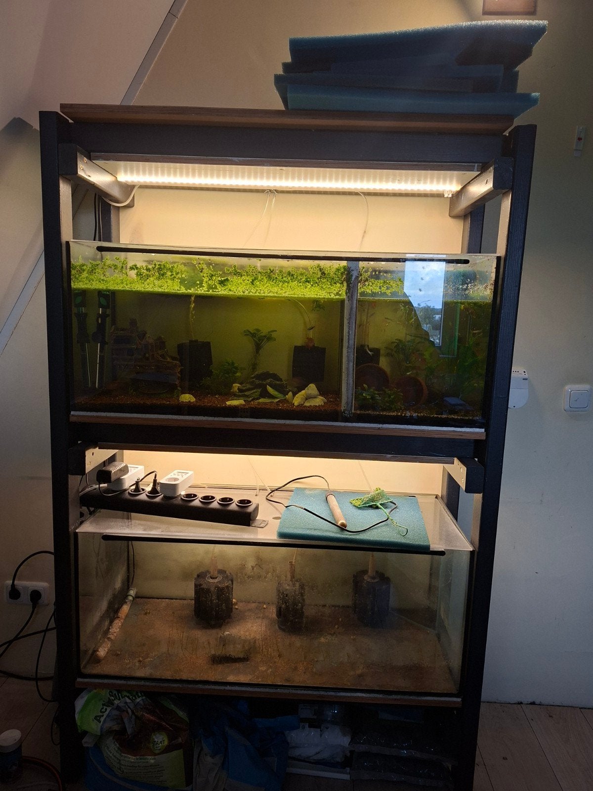 aquariums in houten stelling, Ophalen, Overige merken, Pomp, Gevuld zoetwateraquarium