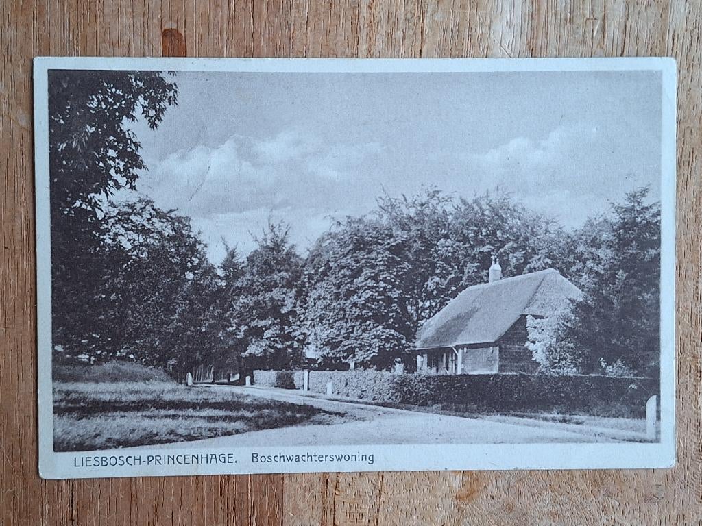 ansichtkaart Breda Princenhage Boschwachterswoning Liesbosch, Ophalen of Verzenden, 1920 tot 1940, Gelopen, Noord-Brabant