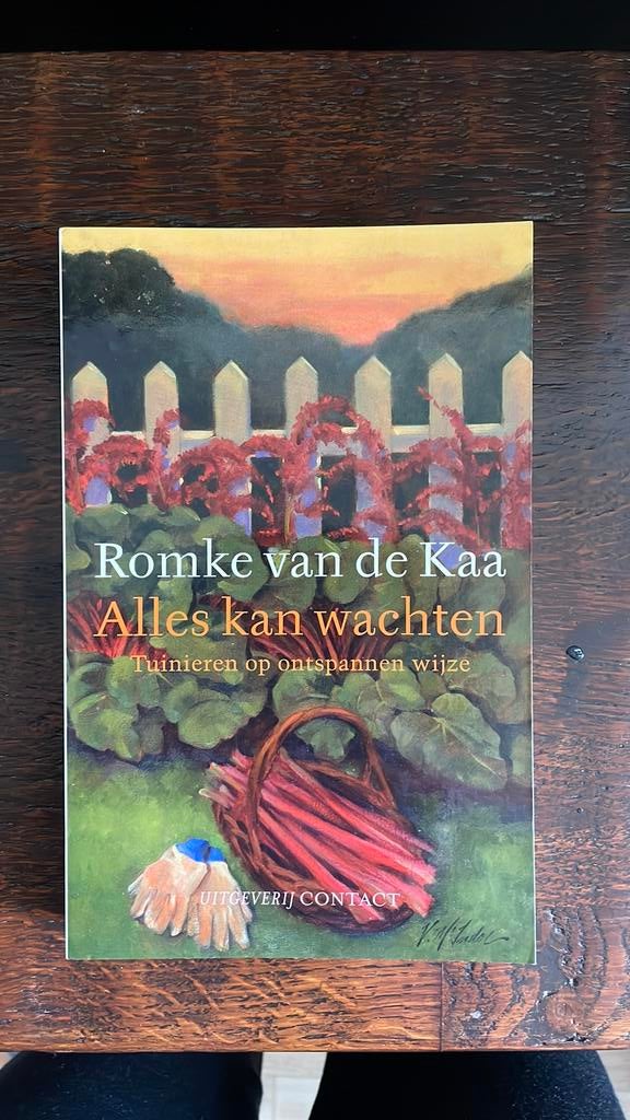 Romke van de Kaa - Alles kan wachten, Ophalen of Verzenden, Zo goed als nieuw, Interieur en Design, Romke van de Kaa
