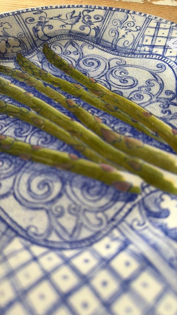 Gien JARDIN BLEU ASPERGE, Ophalen of Verzenden, Porselein, Overige stijlen, Bord(en)