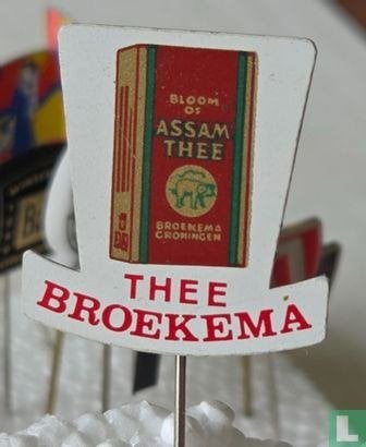 Speldje - Broekema - Groningen, Ophalen of Verzenden, Zo goed als nieuw, Merk, Speldje of Pin
