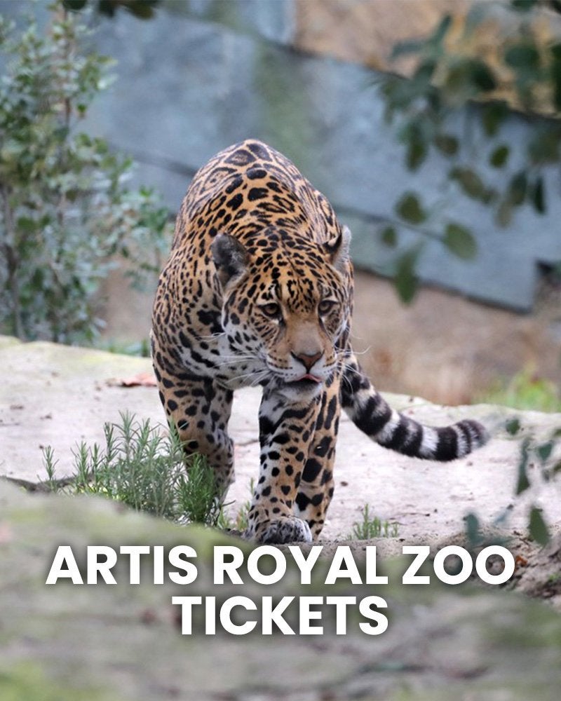 artis dierentuin tickets 50%, Ticket of Toegangskaart