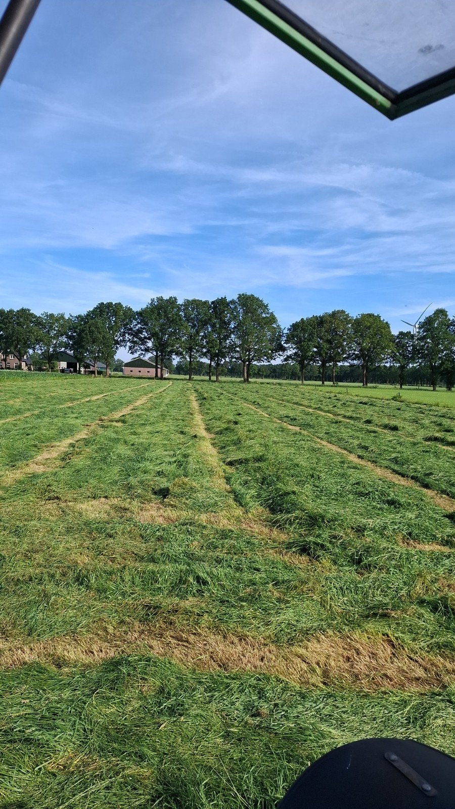Hooi te koop - Kleine balen, hoge kwaliteit, Ophalen of Verzenden, Vee