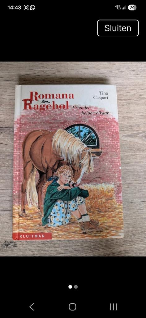 Romana en Ragebol: Vrienden helpen elkaar - Tina Caspari, Ophalen of Verzenden, Gelezen, Tina Caspari, Fictie algemeen