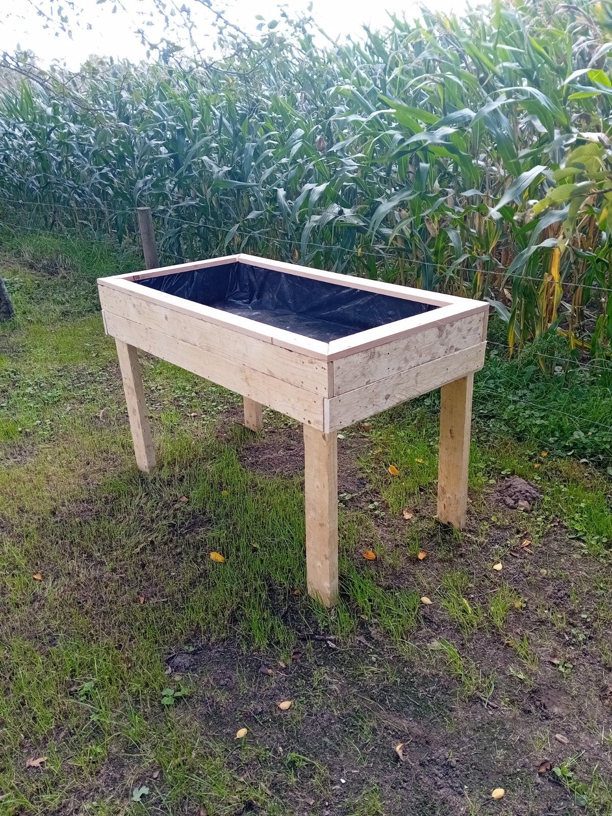moestuin bak, Ophalen, Nieuw, Balkon, 60 tot 100 cm