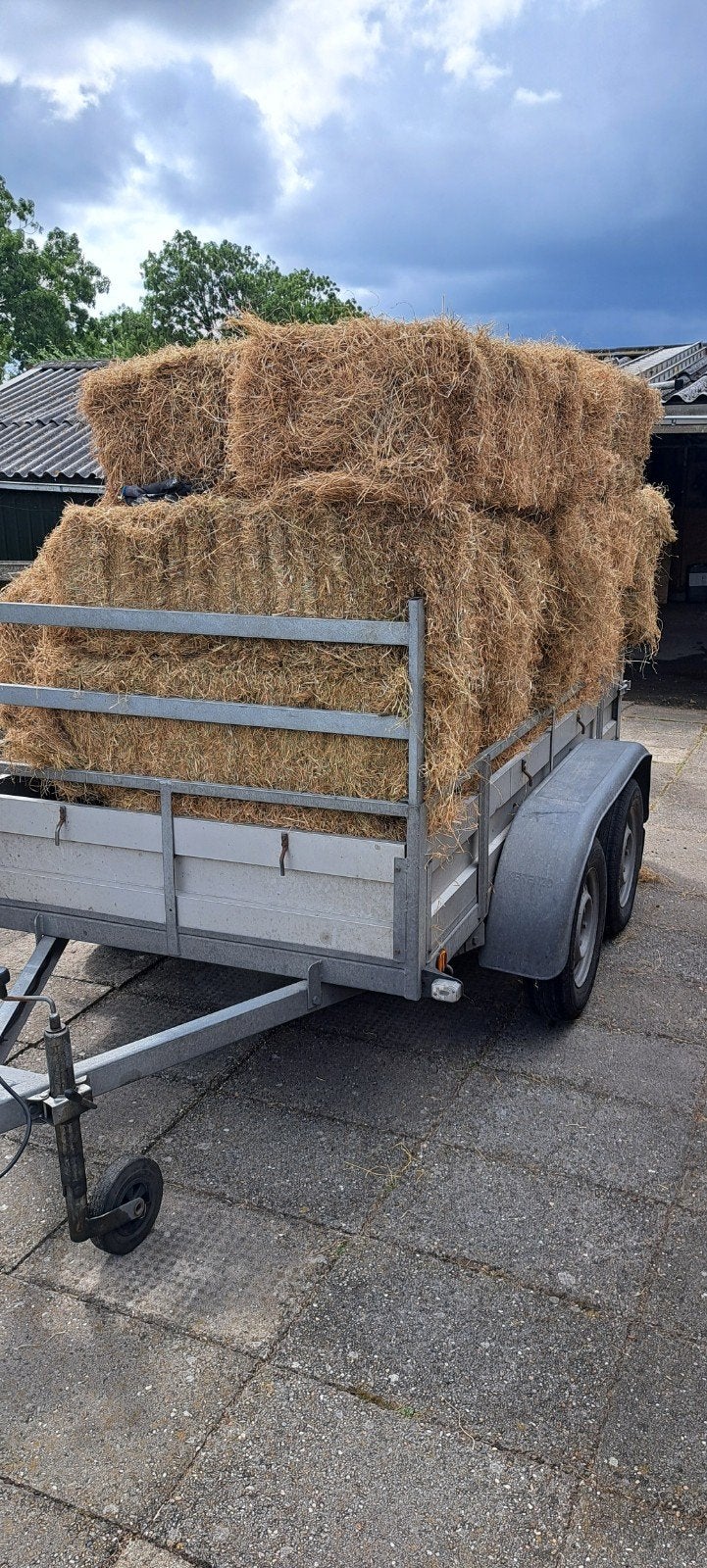 21 hooiballen van vorig jaar, Dieren en Toebehoren, Dierenvoeding, Ophalen, Vee