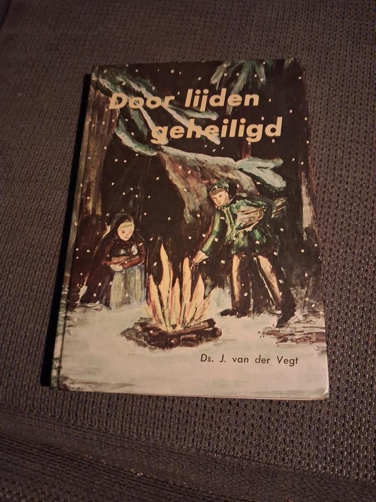Door lijden geheiligd - Ds. J. van der Vegt - 11, Ophalen of Verzenden, Gelezen, Ds. J. van der Vegt, Christendom | Protestants