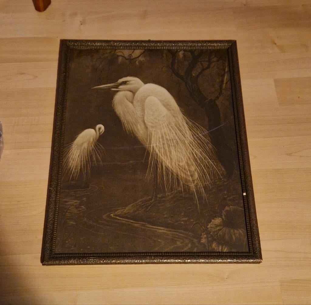 Henri Verstijnen, prent reiger, ingelijst., Antiek en Kunst, Ophalen of Verzenden