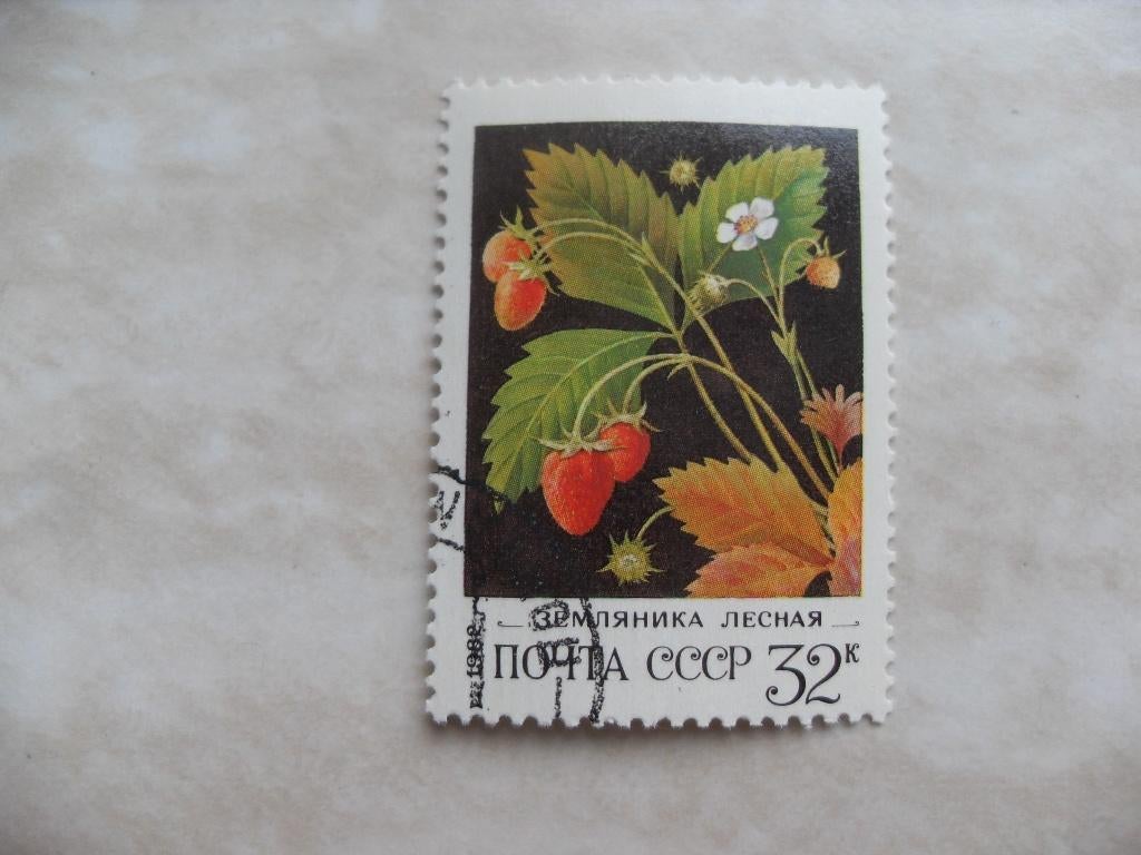 Rusland 1982., Ophalen of Verzenden, Gestempeld