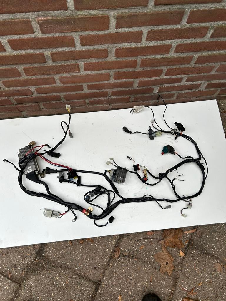 Gilera runner kabelboom, Ophalen