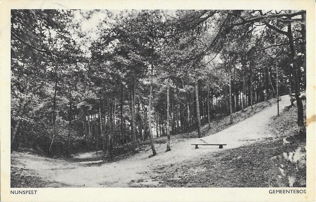 Nunspeet, Gemeentebos, bankje, zandpad, Verzenden, 1940 tot 1960, Gelopen, Gelderland