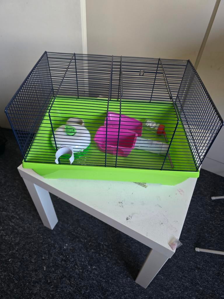 Hamster kooi, Dieren en Toebehoren, Knaagdieren en Konijnen | Hokken en Kooien, Kooi, Minder dan 75 cm, Hamster, Ophalen