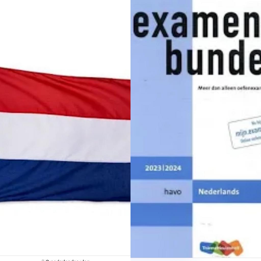 PRIVÉ BIJLES NEDERLANDS -  SCHOOLJAAR 2025/2026, Privéles, Bijles