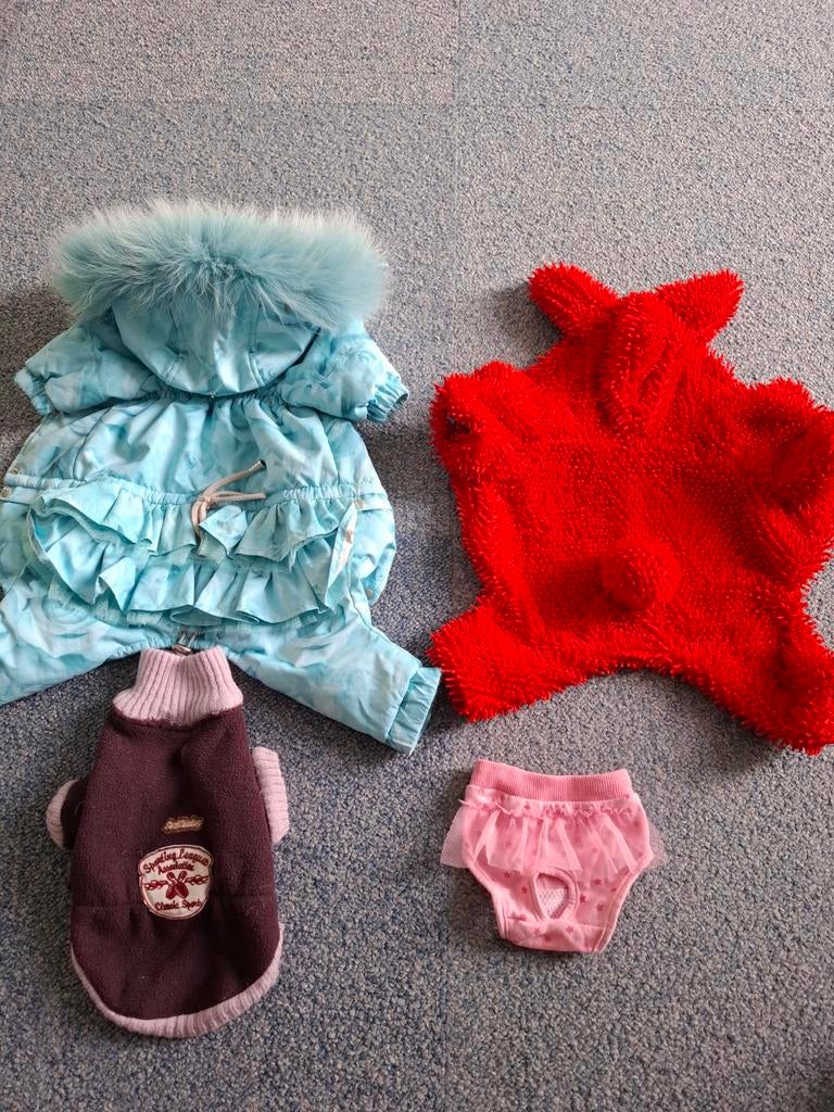 Hondenkleding, Dieren en Toebehoren, Hondenkleding, Ophalen of Verzenden, Zo goed als nieuw, Hondenjas