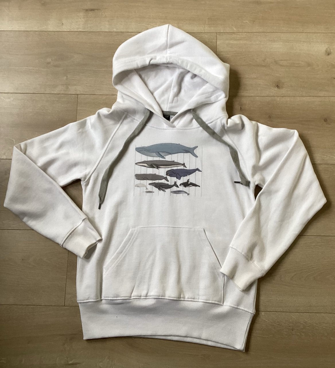 Trui Hoodie wit walwissen Spreadshirt maat S, Kleding | Dames, Truien en Vesten, Ophalen of Verzenden, Zo goed als nieuw, Maat 36 (S)