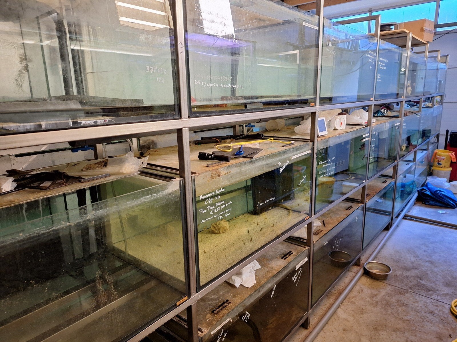 aquariumstelling 9 bakken, Ophalen, Inclusief deksel, Gebruikt, Leeg aquarium