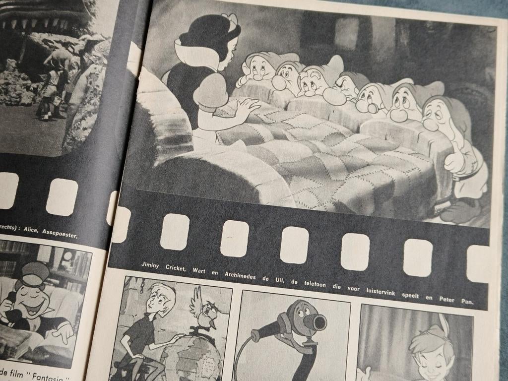 1969, DISNEYLAND, DISNEY, DOORNROOSJE, BIJLAGE HUMO, Ophalen of Verzenden, Gebruikt, Overige typen