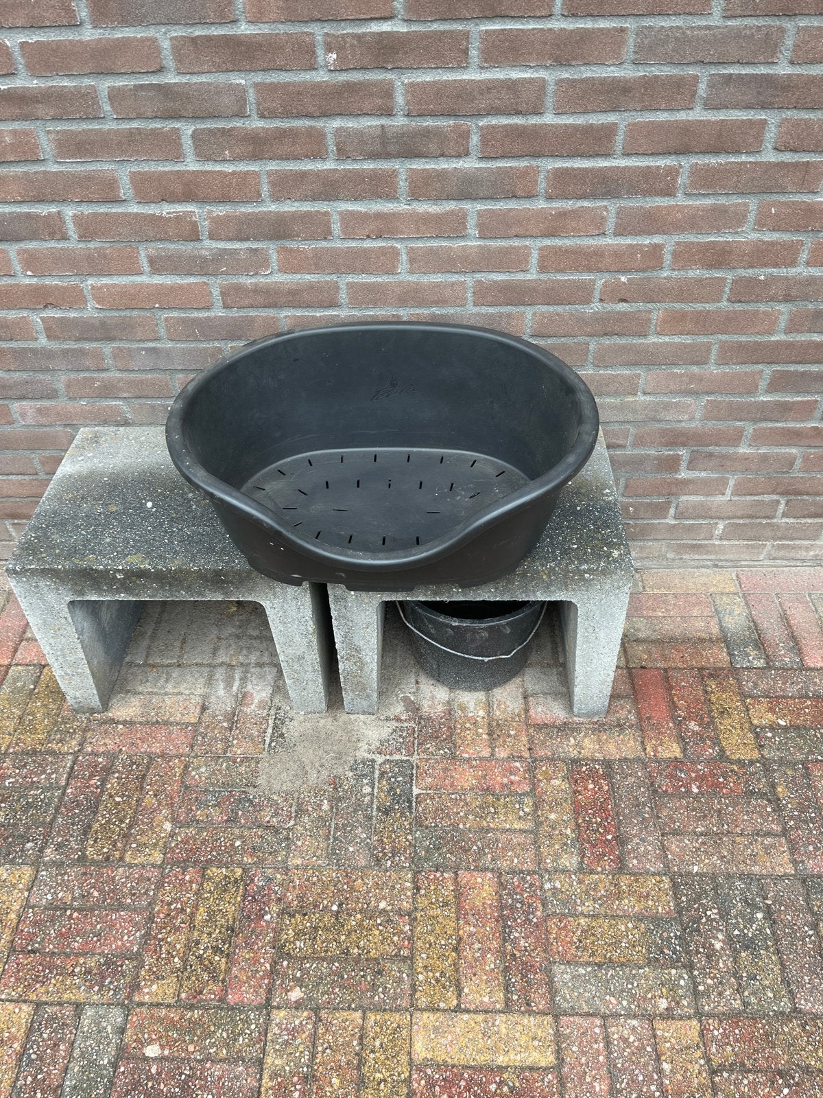 Hondenmand, Ophalen, Riet