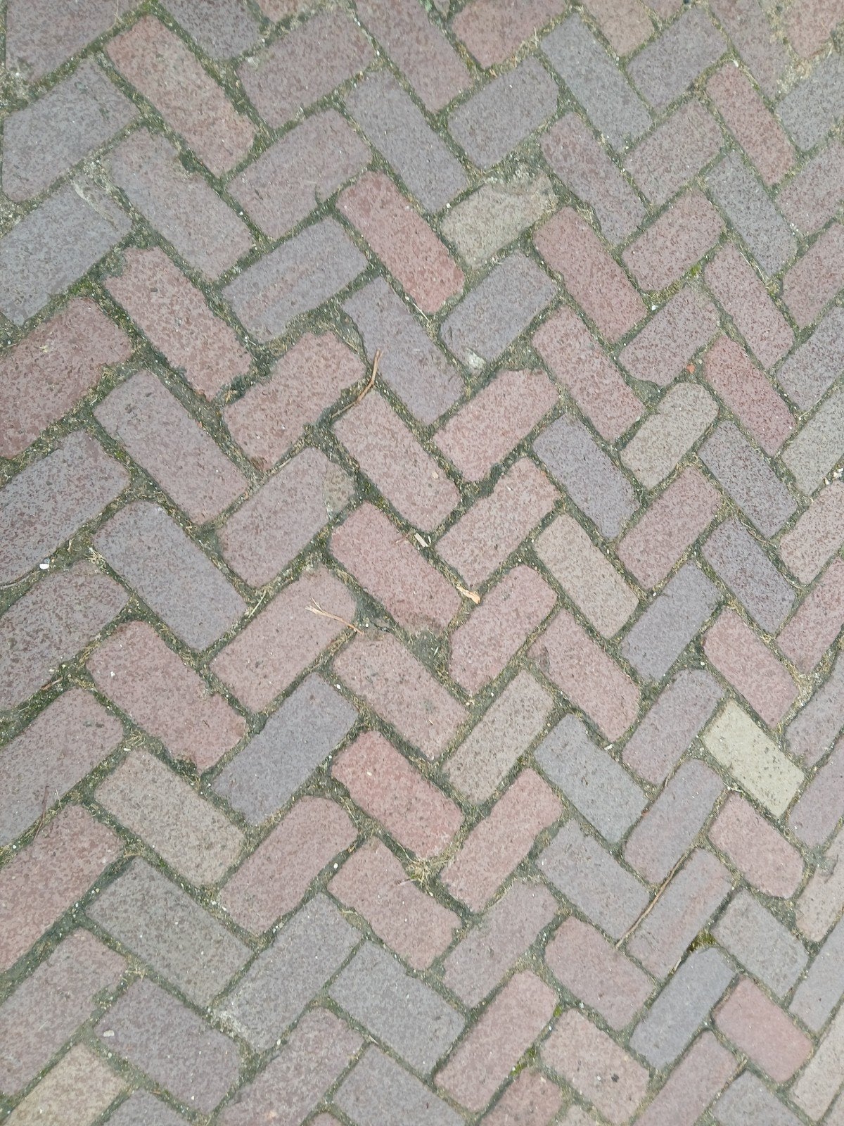Hard gebakken klinkers 20x10x8, Tuin en Terras, Ophalen, Klinkers