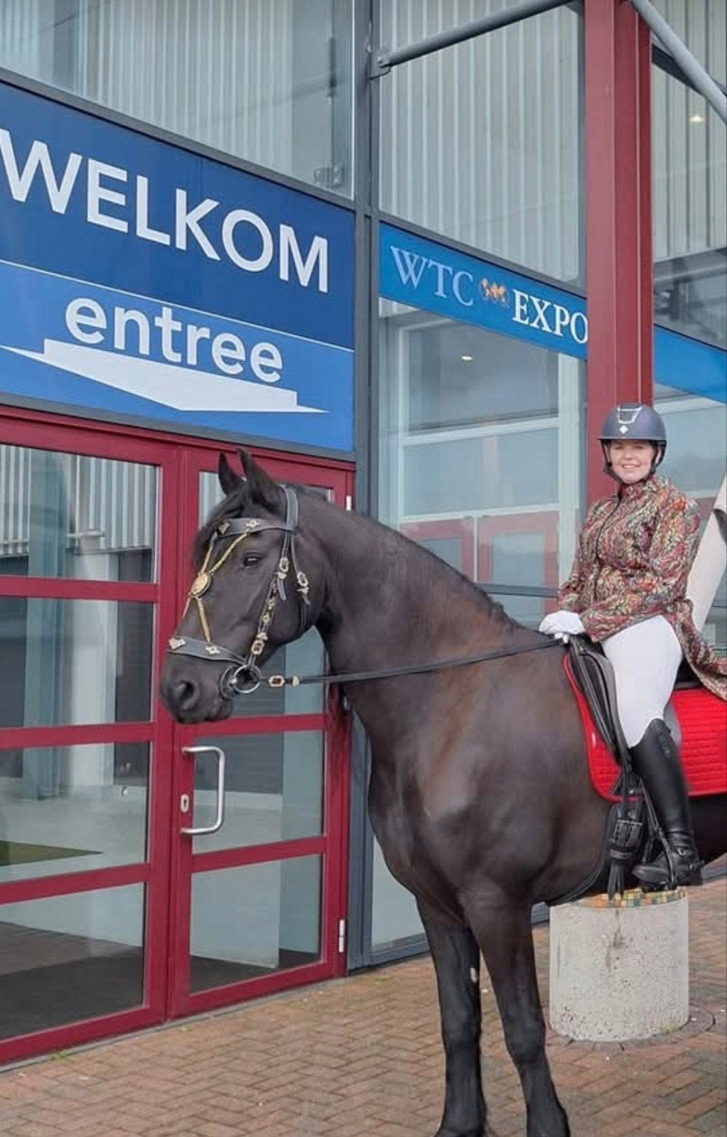 Te koop Hoofdstel Barok, Hoofdstel, Ophalen of Verzenden, Inclusief teugels, Goud