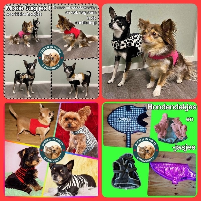 Hondenjasje, truitje, dekje, tuigje en andere artikelen hond, Dieren en Toebehoren, Hondenkleding, Nieuw, Overige hondenkleding
