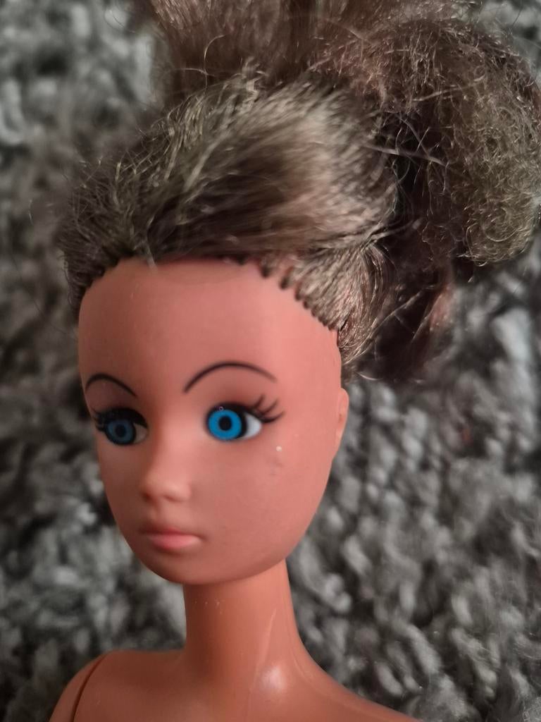 BARBIE busch 1979. Genummerd in nek, Ophalen of Verzenden, Fashion Doll