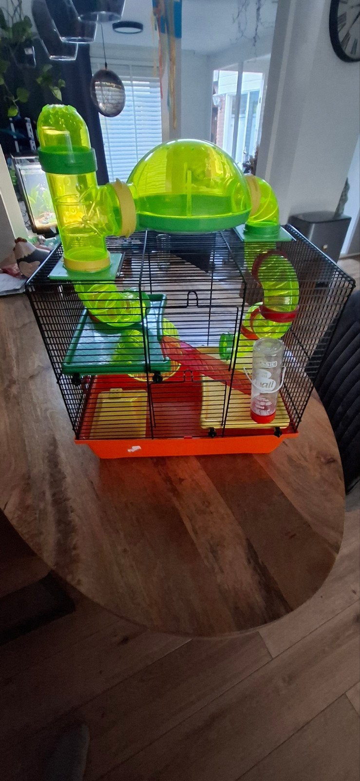 Leuke Hamsterkooi met toebehoren, Dieren en Toebehoren, Knaagdieren en Konijnen | Hokken en Kooien, Minder dan 60 cm, Kooi, Minder dan 75 cm