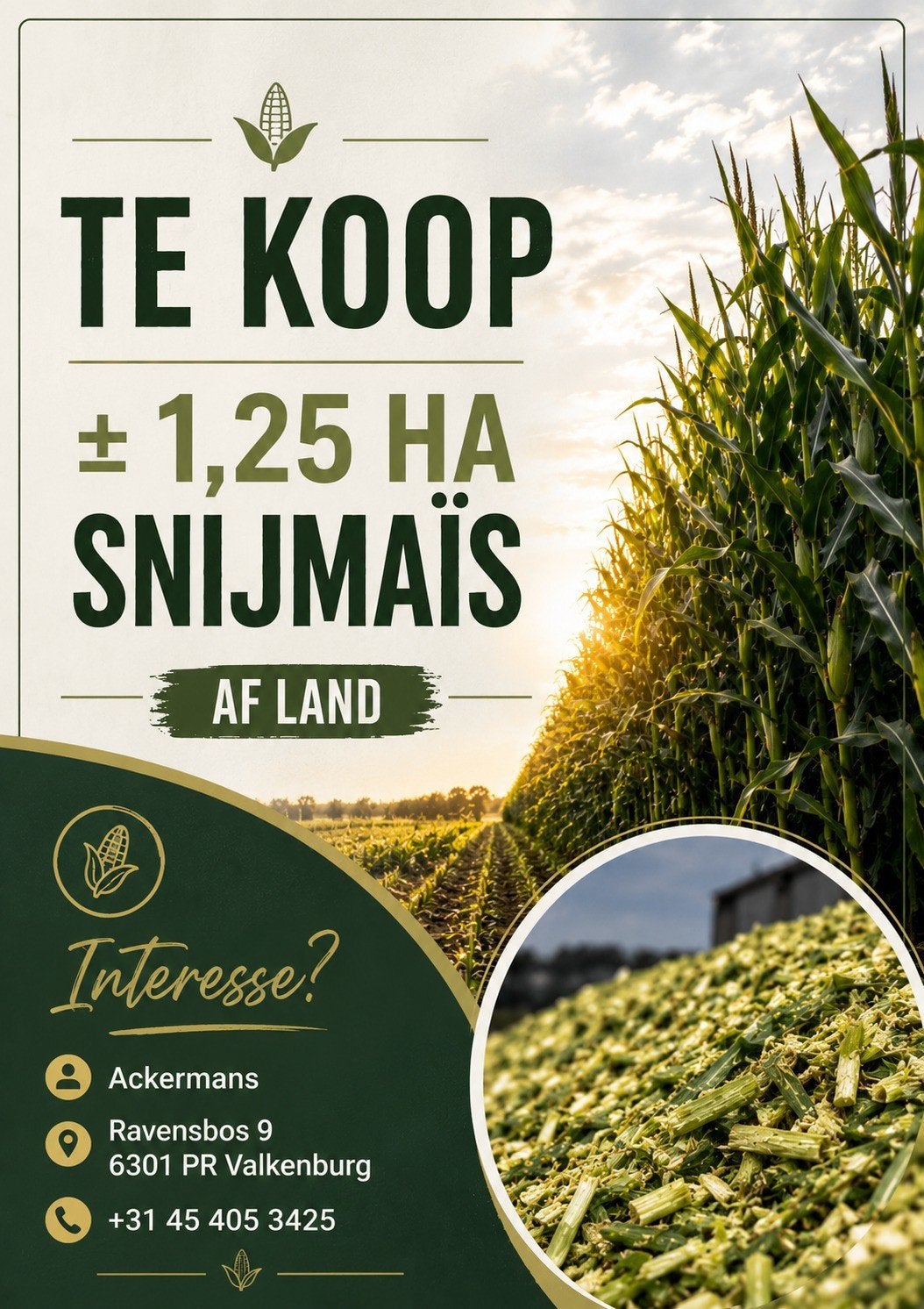 snijmaïs te koop, Ophalen