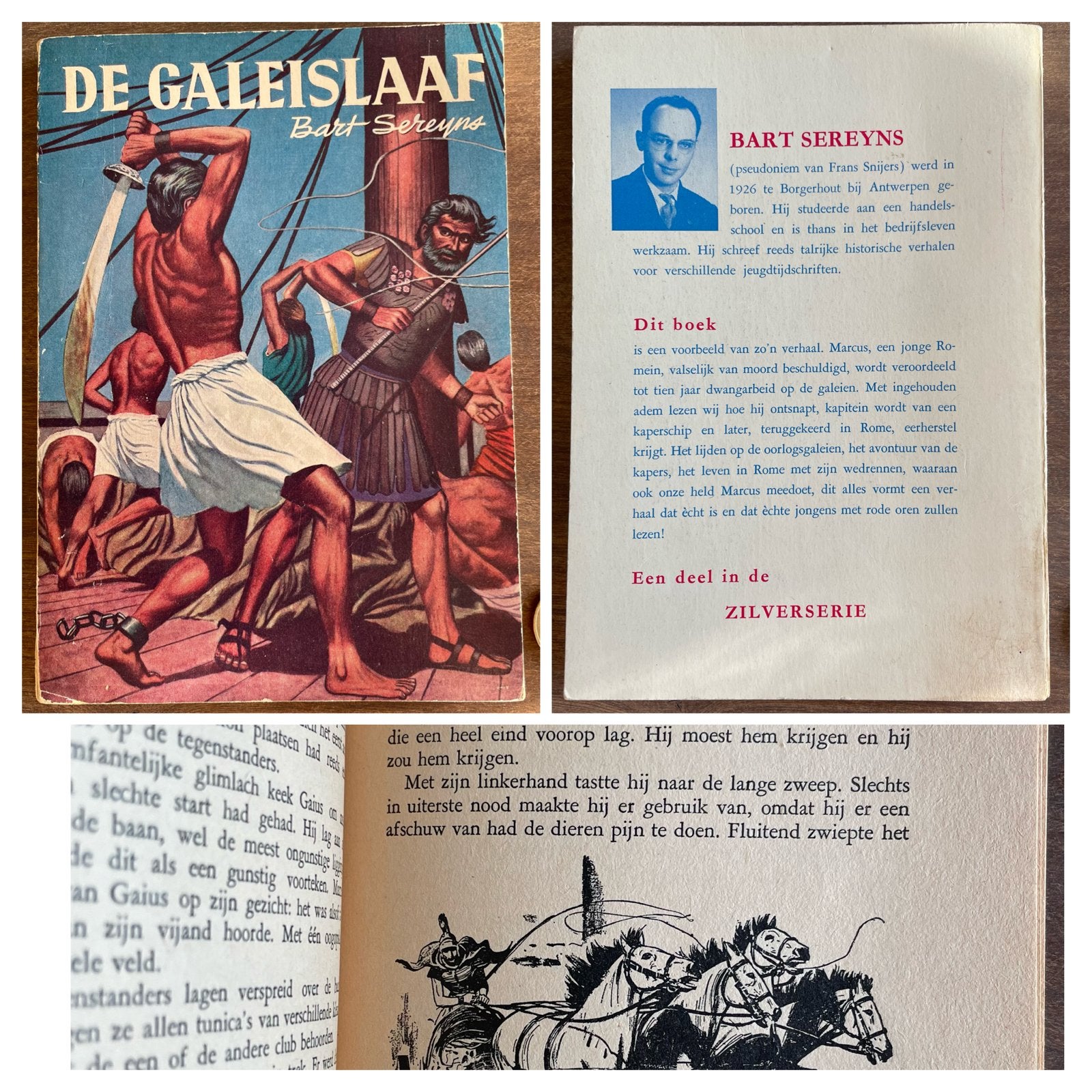 De galeislaaf - Bart Sereyns, Ophalen of Verzenden, Zo goed als nieuw, Fictie