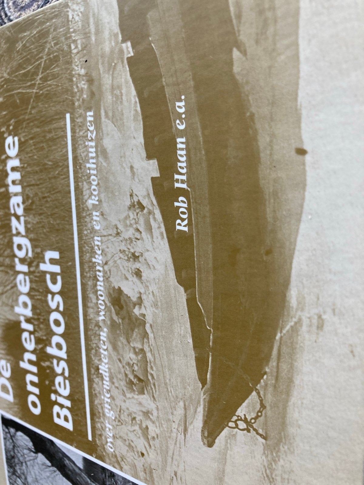 De onherbergzame Biesbosch - Rob Haan e.a., Ophalen of Verzenden, 20e eeuw of later, Zo goed als nieuw