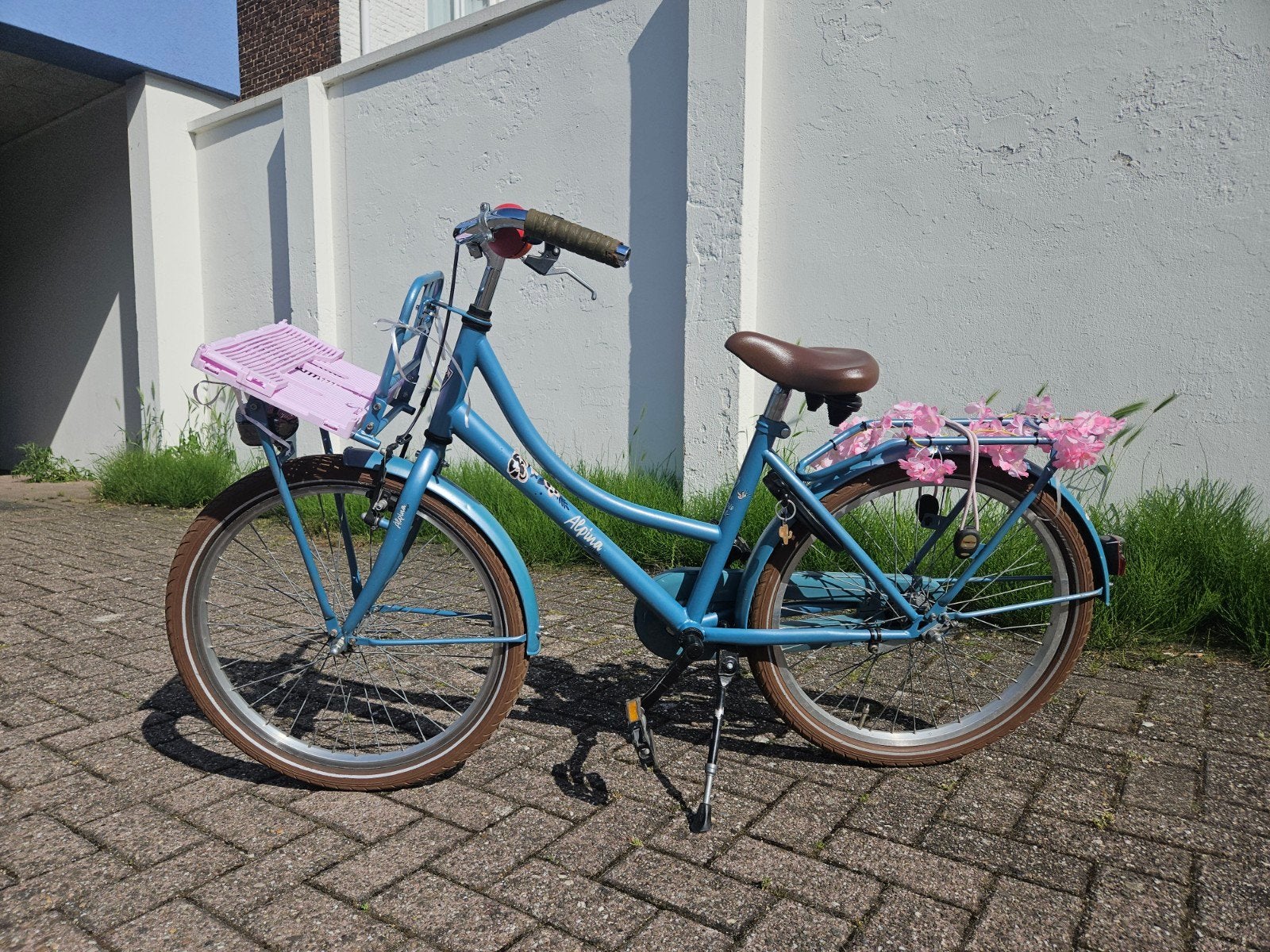 Alpina Meisjesfiets 22 inch met hand- en terugtraprem, Ophalen, Terugtraprem, 22 inch, Alpina