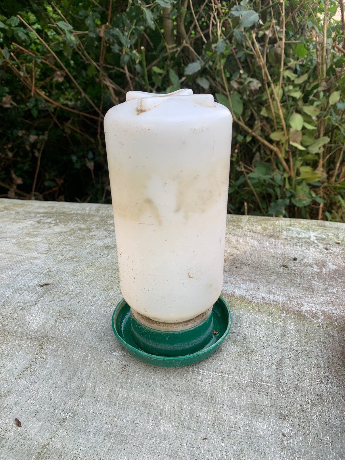 Drink silo voor kippen konijnen, Ophalen of Verzenden, Zo goed als nieuw, Drinken en Voederen
