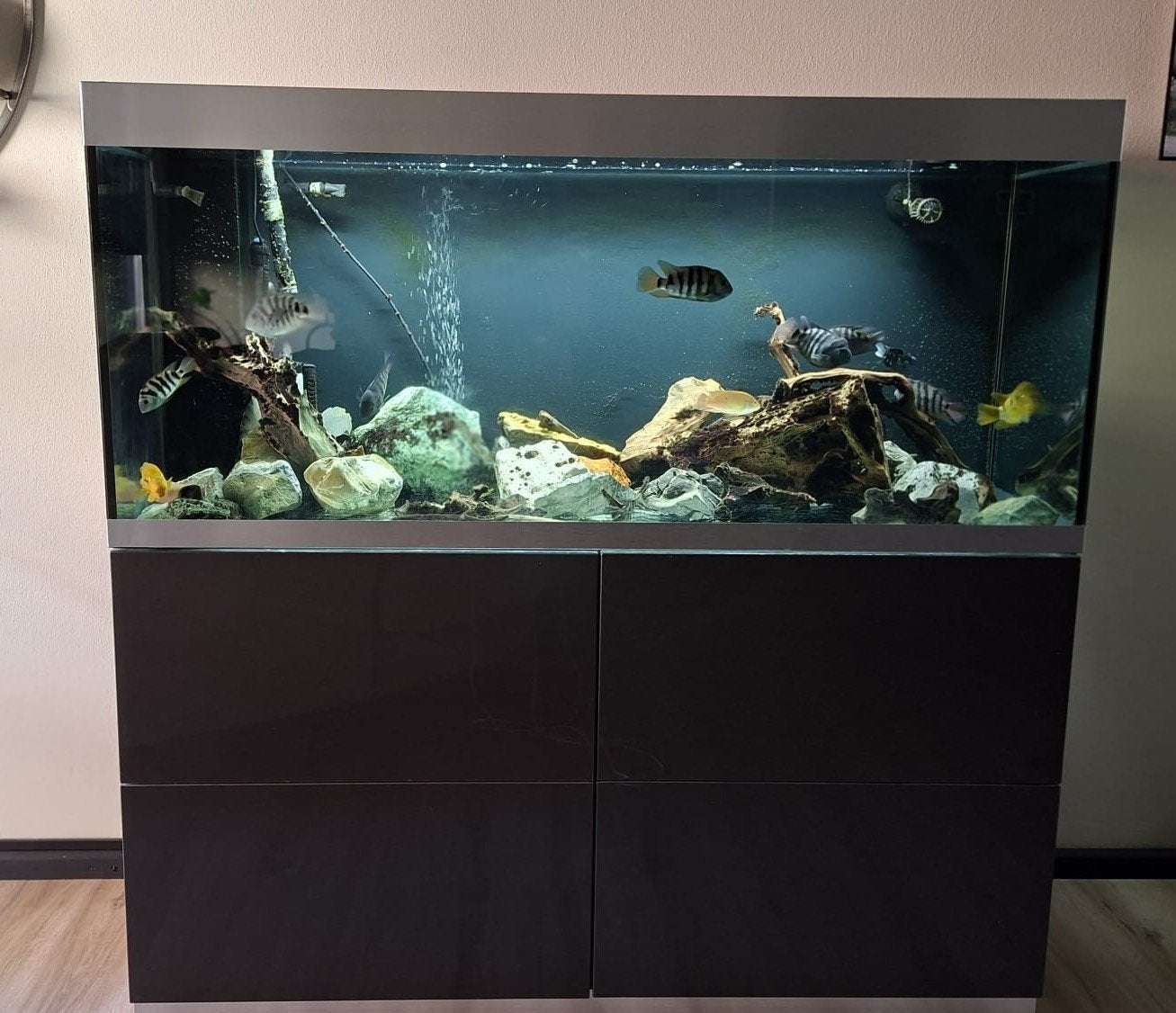 Oase HighLine 400 Optiwhite 413L + 2x SuperFish X-Pro 2000 –, Ophalen of Verzenden, Gebruikt, Gevuld zoetwateraquarium