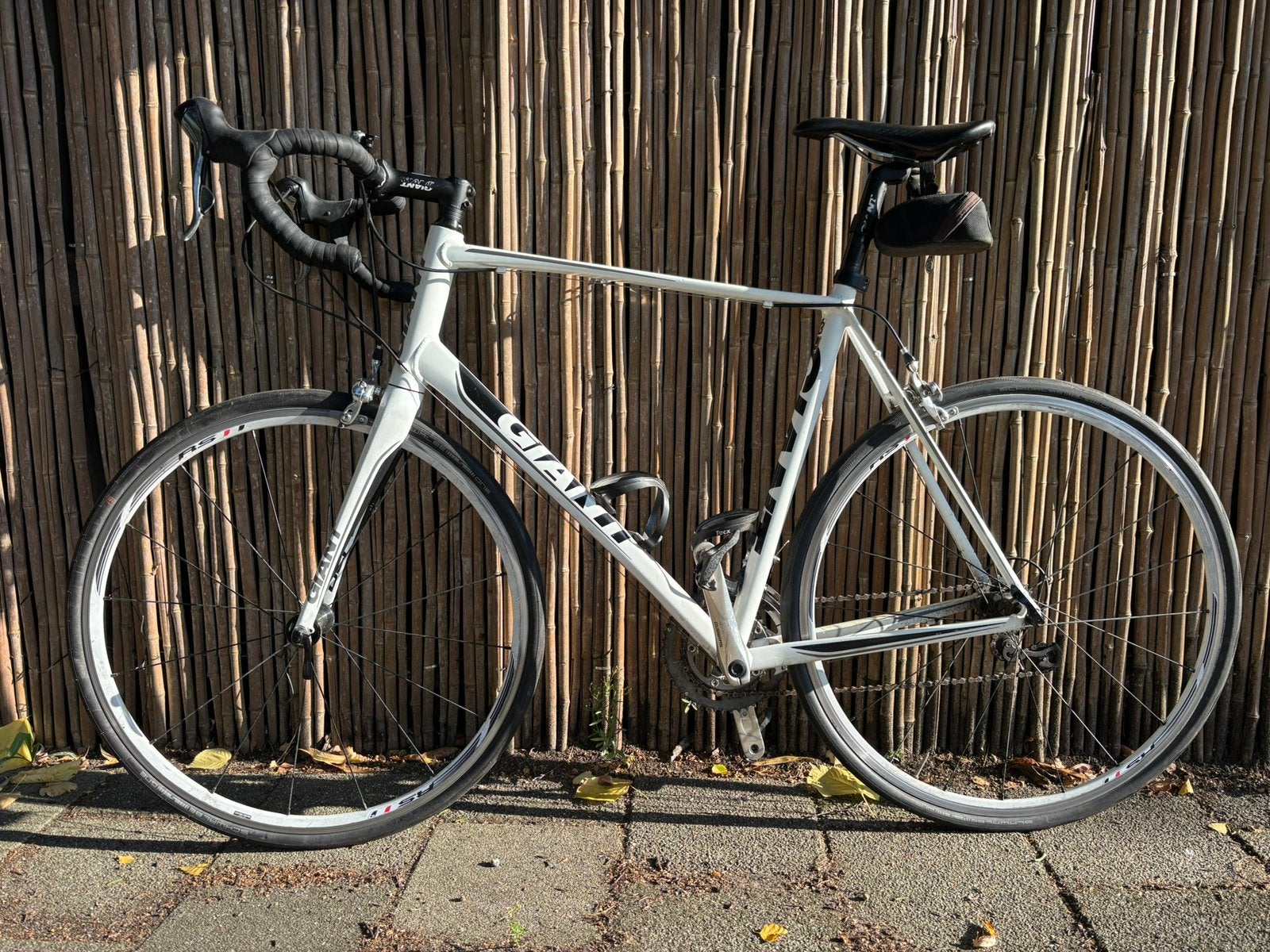 Giant Defy XL – Shimano Ultegra / 105 – 2x10 versnellingen, Ophalen, 28 inch, Gebruikt, Velgrem