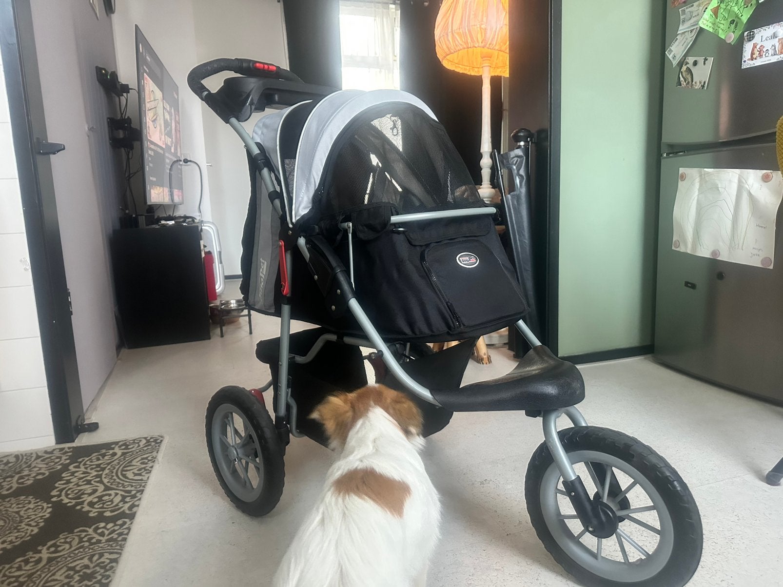 InnoPet hondenbuggy, Dieren en Toebehoren, Innopet, Ophalen, Zo goed als nieuw, Hondenbuggy