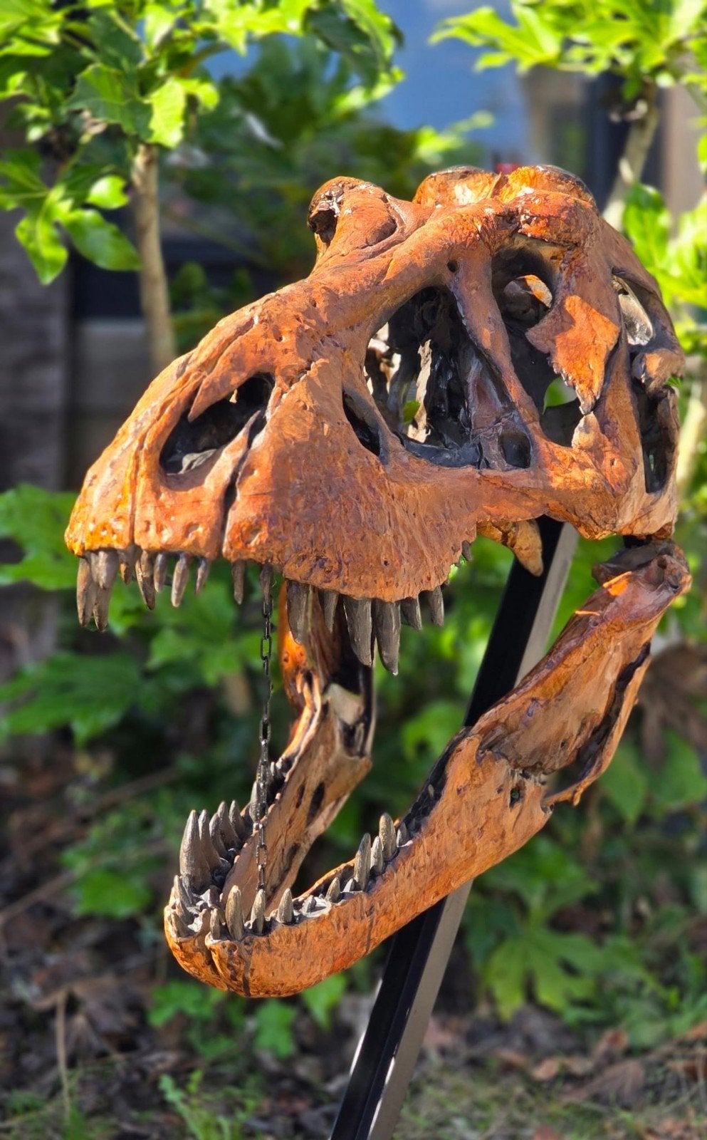 Groot 3D Geprinte Tyrannosaurus Schedel - Realistisch Model, Verzamelen, Dierenverzamelingen, Ophalen, Nieuw, Overige soorten