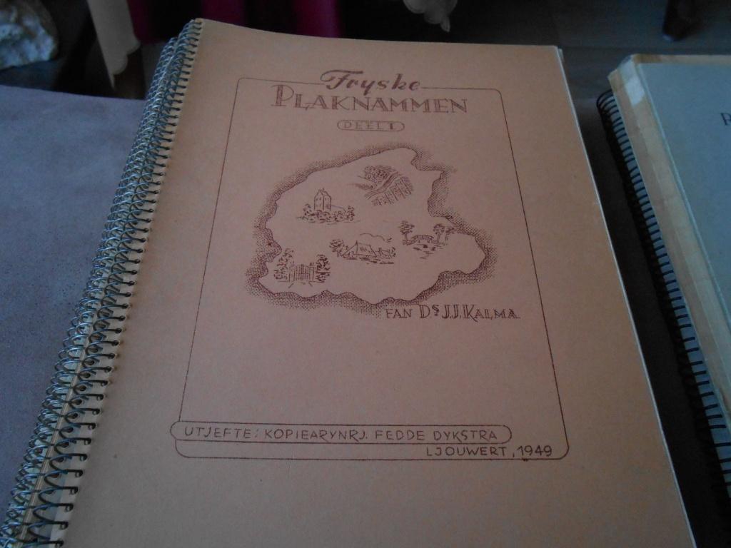 FRYSKE  PLAKNAMMEN  MAGAZIJN  OPRUIMING!!, Ophalen of Verzenden, 20e eeuw of later, Gelezen