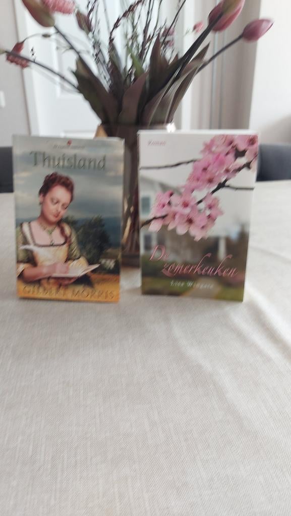 Thuisland - De Familie Freeman (deel 1) - Gilbert Morris, Boeken, Romans, Zo goed als nieuw, Nederland, Ophalen of Verzenden