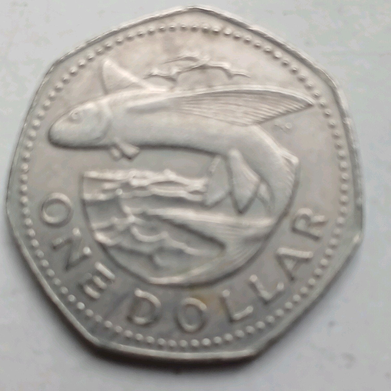 One dollar munt Barbedos 1979, Ophalen of Verzenden, Noord-Amerika