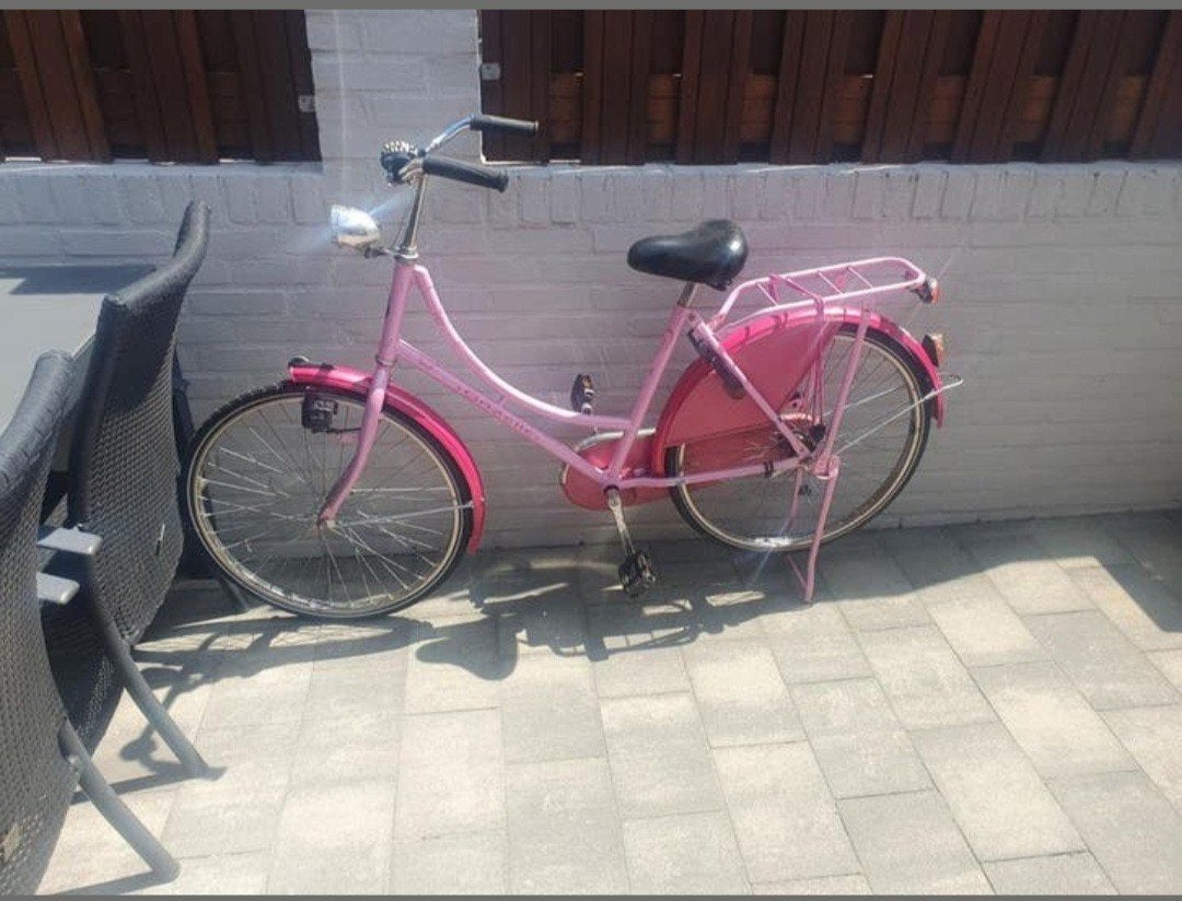 Meisjes fiets 14 inch, Ophalen, Terugtraprem, Gebruikt, 14 inch of minder