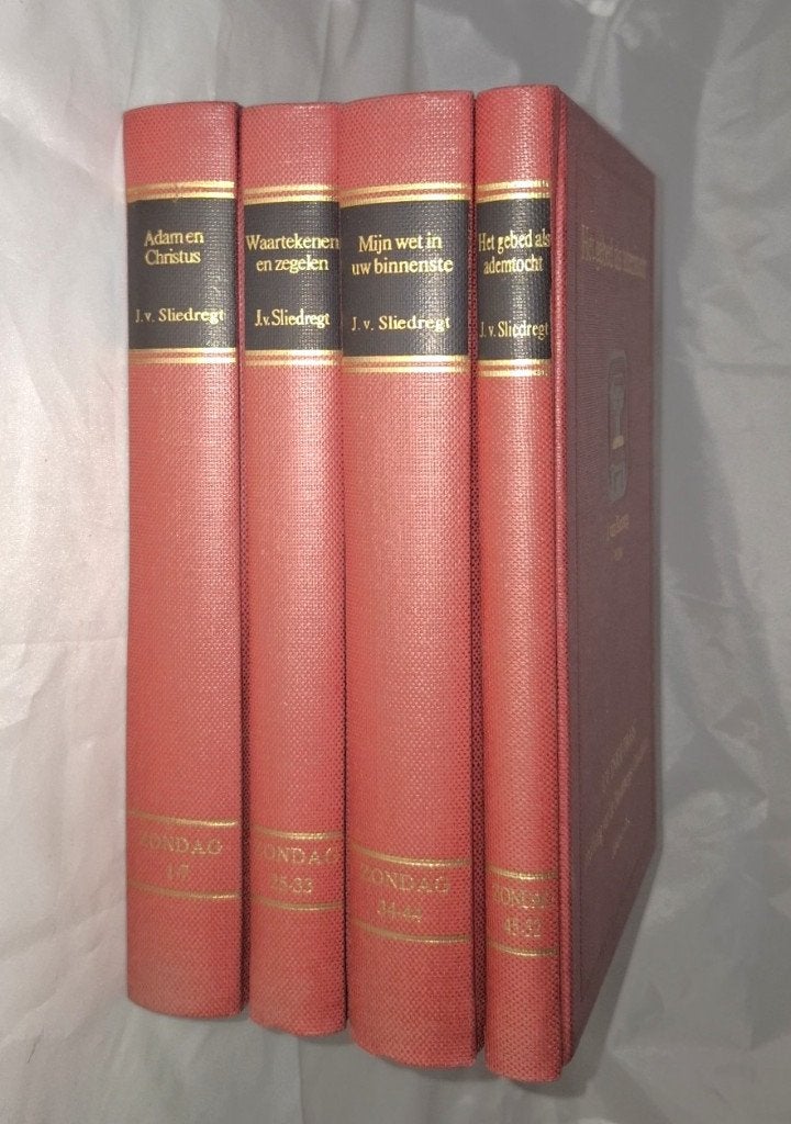 Ds J. van Sliedregt Uw enige troost Heidelbergse Catechismus, Ds. J. van Sliedregt, Nieuw, Christendom | Protestants, Ophalen of Verzenden