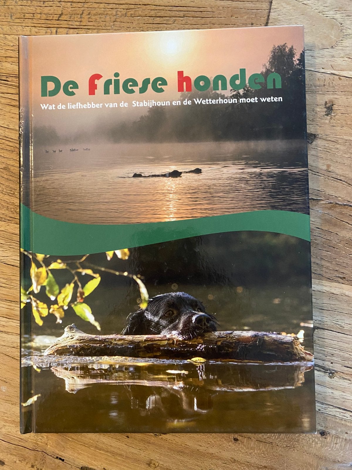 Boek - friese stabij - hond, Ophalen of Verzenden, Zo goed als nieuw, Honden