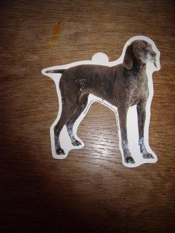 Hondenras sticker Duitse Staande Pointer shaped 14 x 14 cm, Ophalen of Verzenden, Zo goed als nieuw, Bedrijf of Vereniging
