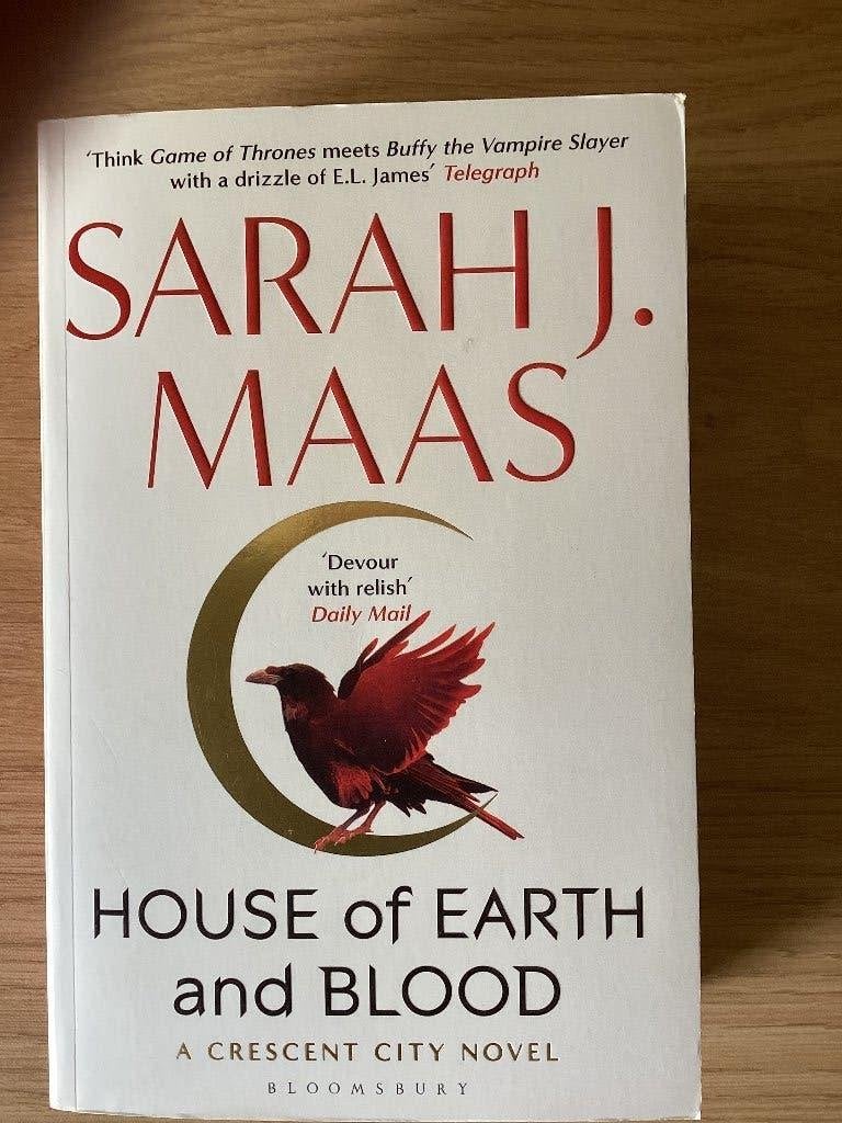 Sarah J. Maas house of earth and blood engels, Boeken, Fantasy, Ophalen, Zo goed als nieuw