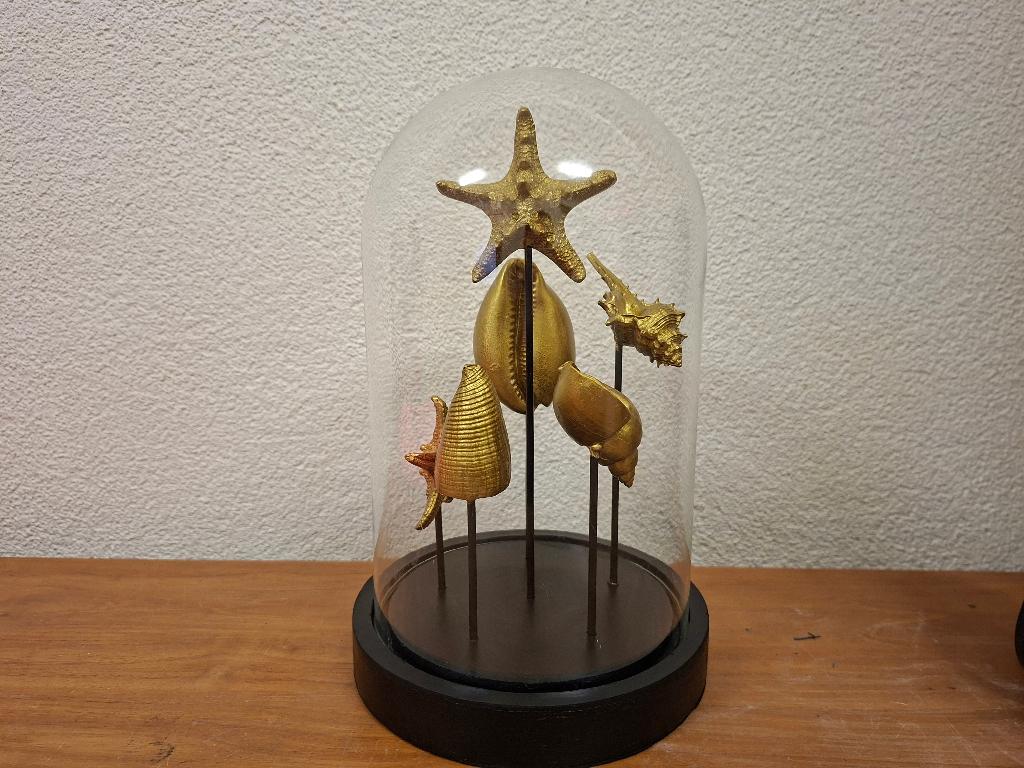Glazen stolp met gouden schelpen - 27.5 cm hoog, Ophalen of Verzenden, Zo goed als nieuw